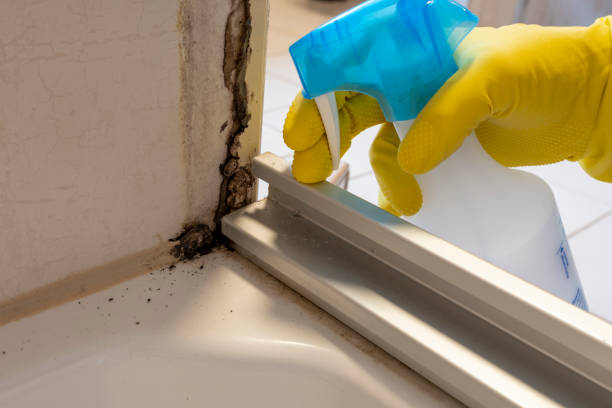 Best Mold Testing  in Lockwood, MO