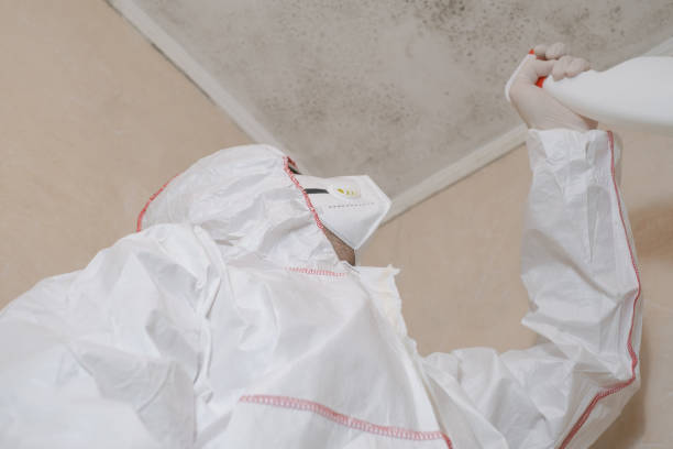 Best Residential Mold Removal  in Lockwood, MO